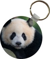 Sleutelhanger - Panda - Wilde dieren - Portret - Steen - Plastic - Rond - Uitdeelcadeautjes