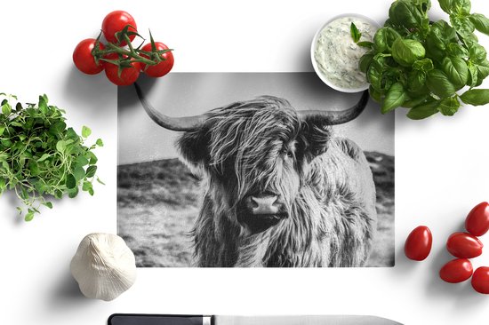 Planche à découper en Verres - 28x20 - Scottish Highlander - Nature - Vache - Zwart - Wit - Planches à découper en Glas