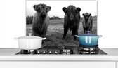 Spatscherm keuken 60x40 cm - Kookplaat achterwand Schotse hooglander - Koeien - Natuur - Groen - Gras - Muurbeschermer - Spatwand fornuis - Hoogwaardig aluminium