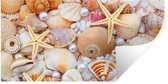 Stickers Stickers muraux - Coquillages - Perles - Étoile de mer - Plage - 80x40 cm - Film adhésif