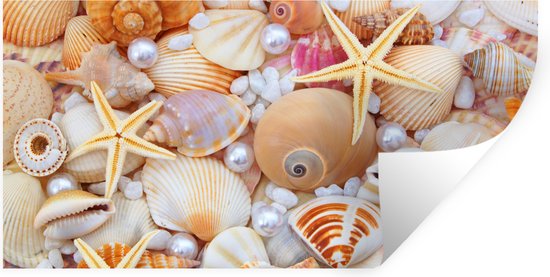 Stickers Stickers muraux - Coquillages - Perles - Étoile de mer - Plage - 80x40 cm - Film adhésif