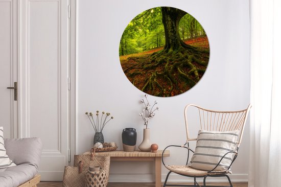 WallCircle - Wall Circle - Wall Circle Indoor - Arbre - Forêt - Feuilles d'Automne - 120x120 cm - Décoration murale - Peintures Ronds XXL