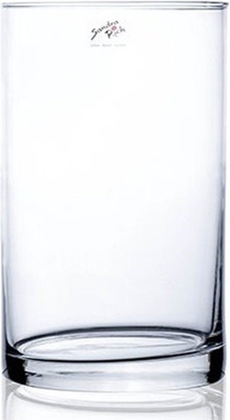 Glazen vaas, decoratieve vaas, helder glas, cilinder, decoratieve glazen container, 15 cm/20 cm hoog, woonkamer (20 x 15 cm