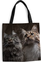 MuchoWow® Schoudertas - Strandtas - Big Shopper - Boodschappentas - Twee schattige Maine Coon katten - 40x40 cm - Katoenen tas