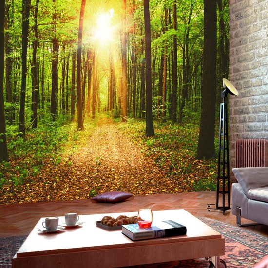Fotobehangkoning - Behang - Vliesbehang - Fotobehang Zon in het Bos - Mirror of Nature  - 350 x 245 cm