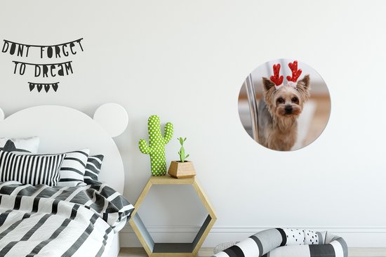 WallCircle - Wandcirkel - Muurcirkel - Yorkshire met een kerst accessoire - Aluminium - Dibond - 30x30 cm - Binnen en Buiten