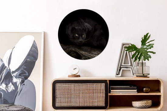 Panthère noire dans une forêt sombre cercle mural aluminium ⌀ 60 cm - impression photo sur cercle mural / cercle vivant / cercle de jardin (décoration murale)