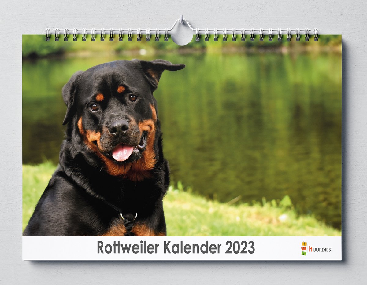 Rottweiler kalender 2023 | 35x24 cm | jaarkalender 2023 | Wandkalender 2023