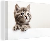 Canvas - Canvas doek - Kat - Grijs - Poes - Kitten - Katten op canvas - Dieren - Dier - Wanddecoratie - 90x60 cm