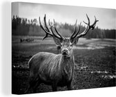 Canvas schilderij - Dieren - Hert - Gewei - Bos - Natuur - Wanddecoratie - 140x90 cm - Foto op canvas - Canvasdoek