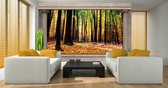 Fotobehangkoning - Uitzicht op het Bos door de Pilaren 3D - Vliesbehang - Behang - 152,5 x 104 cm