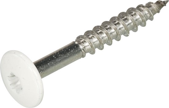 Vis pour plaque de façade en acier inoxydable 4,8 x 60 mm T20 blanc RAL9010