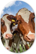 Ovale Mural - Ovale Mural - Décoration murale Plastique - Peinture Ovale - Vaches - Animaux - Pâturage - Nature - 80x120 cm - Forme miroir ovale sur plastique