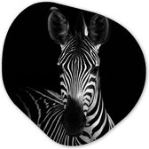 Organische Wanddecoratie - Kunststof Muurdecoratie- Organisch Schilderij - Zebra - Zwart - Wit - Dieren- 60x60 cm - Organische spiegel vorm op kunststof