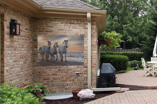 Affiche de jardin Paarden - Soleil - Plage - Mer - 120x80 cm - Jardin