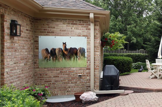 Affiche jardin - Toile jardin - Posters de jardin extérieur - Paarden - Animaux - Herbe - Été - 120x80 cm - Jardin