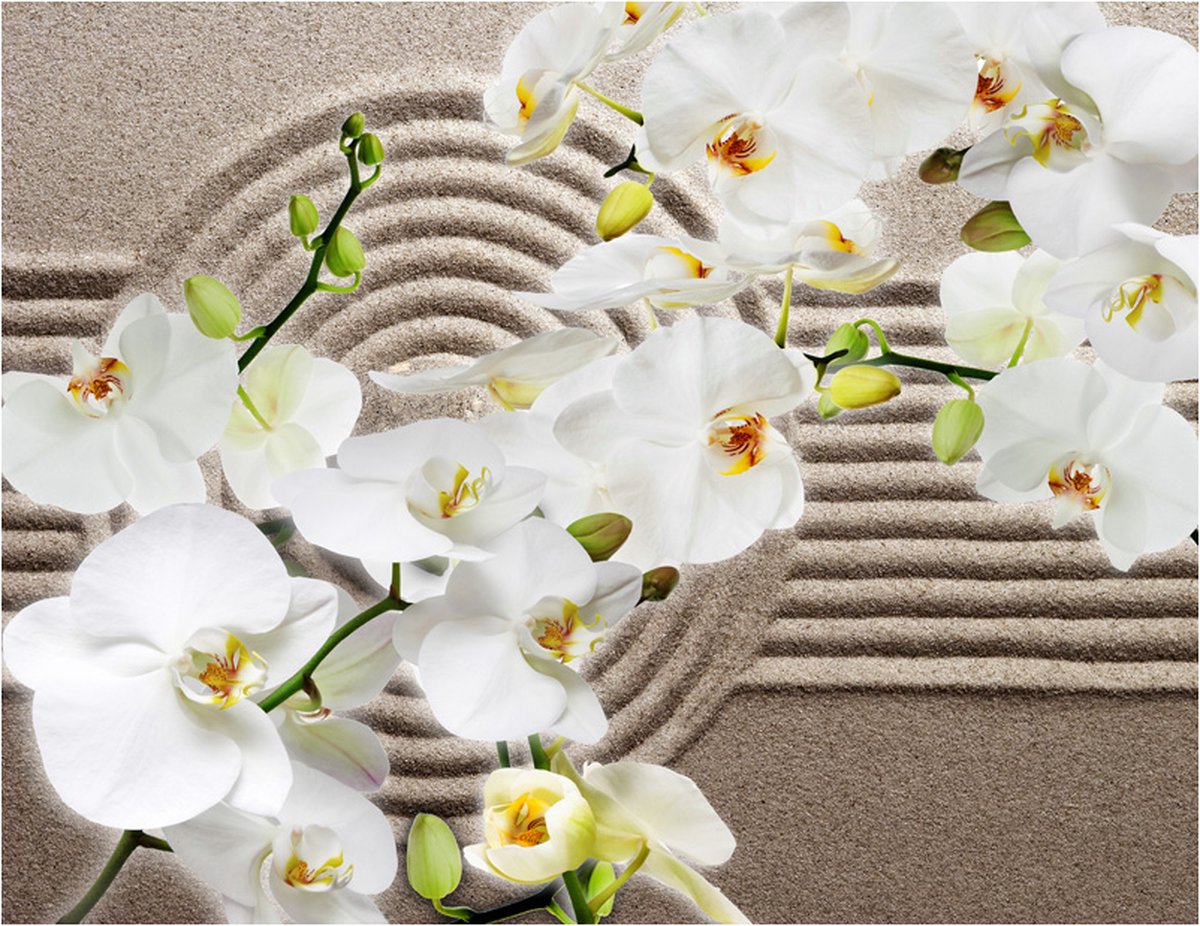 Fotobehang - Beautiful Zen Garden.