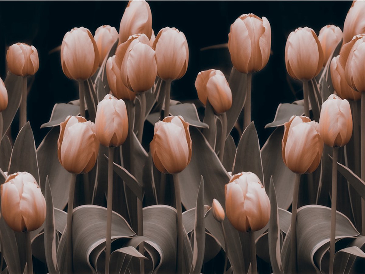 Fotobehang - Ladies among the flowers.