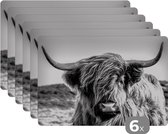 Placemat - Placemats kunststof - Koe - Schotse hooglander - Zwart - Wit - Dier - Natuur - Wild - 45x30 cm - 6 stuks - Hittebestendig - Anti-Slip - Onderlegger - Afneembaar
