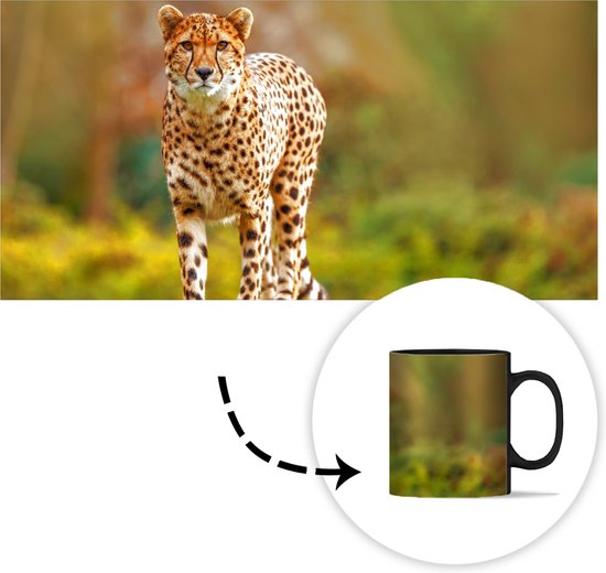 Mug Magique - Mug Photo sur Chaleur - Mug à Café - Animaux Sauvages - Herbe - Léopard - Nature - Mug Magic - Tasse - 350 ML - Mug à Thé