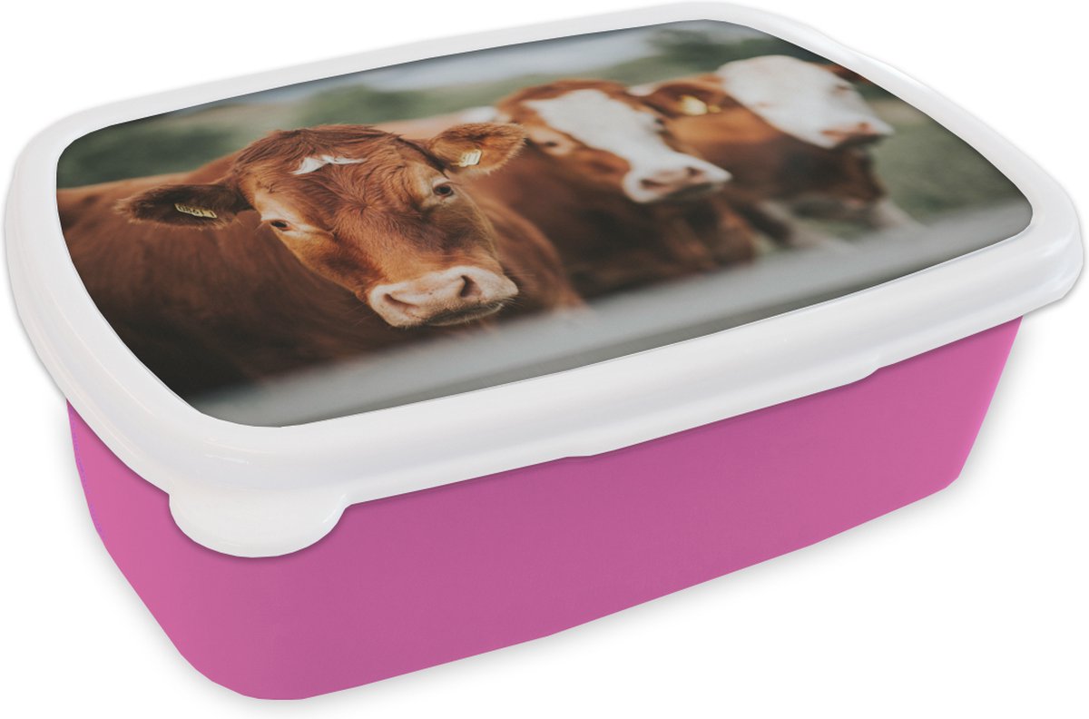 Broodtrommel Roze - Lunchbox - Brooddoos - Koeien - Gras - Hek - 18x12x6 cm - Kinderen - Meisje