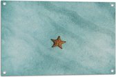 WallClassics - Tuinposter – Zeester in de Zee - 75x50 cm Foto op Tuinposter  (wanddecoratie voor buiten en binnen)
