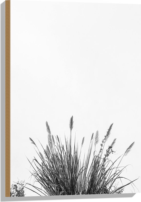 WallClassics - Hout - Lampenpoetsersgras - 50x75 cm - 12 mm dik - Foto op Hout (Met Ophangsysteem)