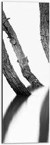 WallClassics - Dibond - Smalle Boomstammen (zwart/wit) - 20x60 cm Foto op Aluminium (Wanddecoratie van metaal)