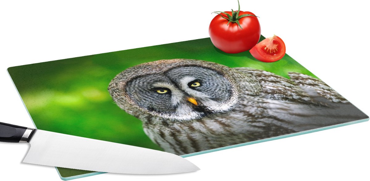 Glazen Snijplank - 39x28 - Vogel - Uil - Dieren - Bruin - Portret - Snijplanken Glas