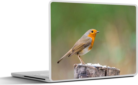 Laptop sticker - 14 inch - Dieren - Vogel - Roodborstje - 32x5x23x5cm - Laptopstickers - Laptop skin - Cover