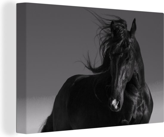 Canvas Schilderij Paard - Dieren - Manen - Zwart - 120x80 cm - Wanddecoratie