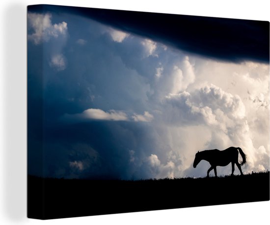 Canvas Schilderij Paard - Wolken - Schaduw - 60x40 cm - Wanddecoratie