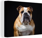 Canvas Schilderij Bulldog - Engels - Zwart - 80x60 cm - Wanddecoratie