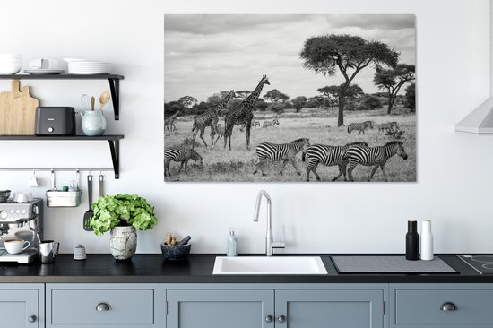 Tableau sur toile Girafes et Zèbres ensemble dans les savanes du Parc National du Serengeti - noir et blanc - 120x80 cm - Décoration murale