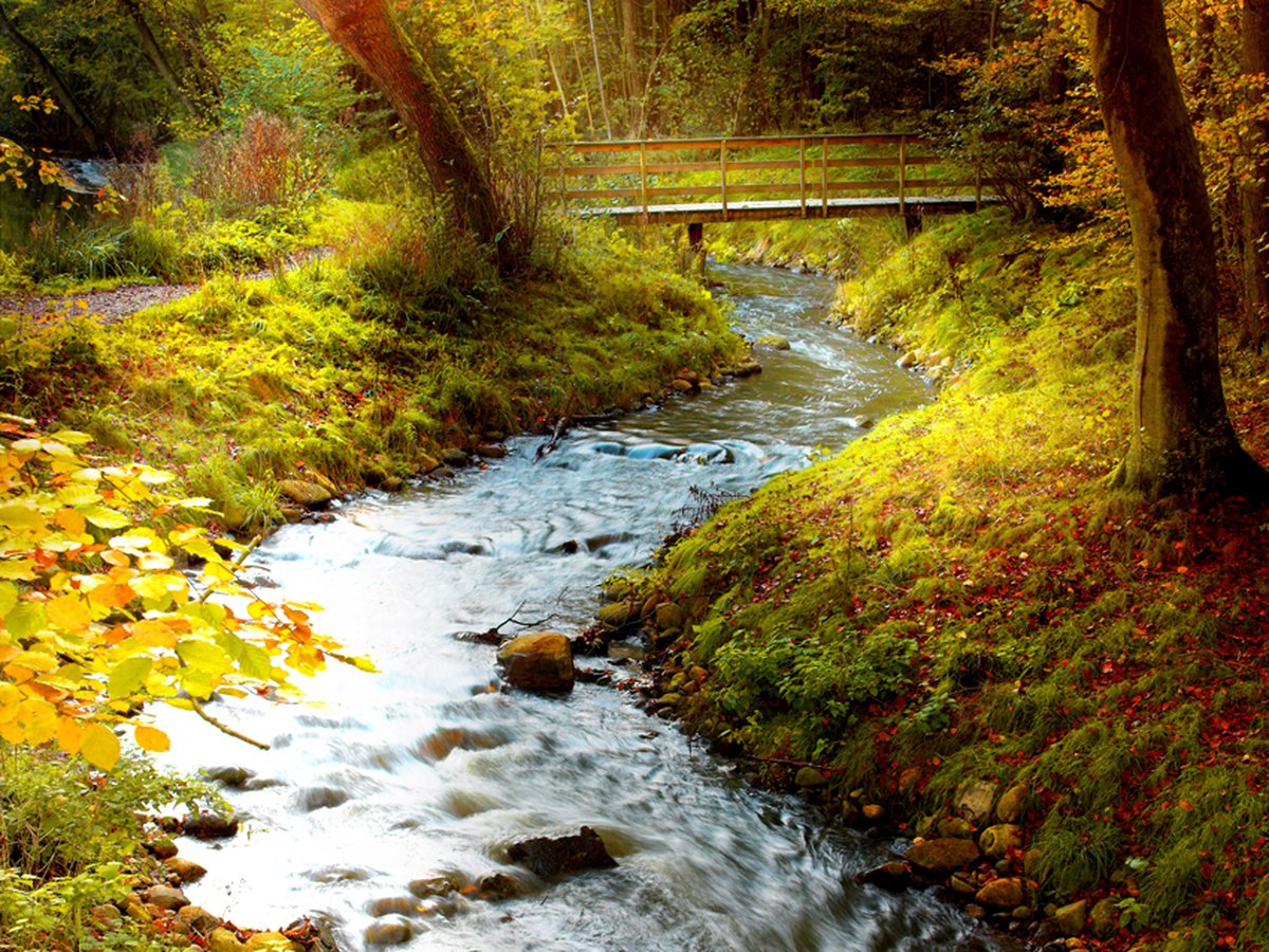 Fotobehang - brook (sunrise).