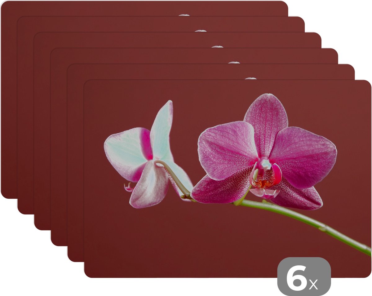 Placemats - Orchidee - Groen - Roze - Bloemen - Placemats bloemen - Onderlegger - 6 stuks - 45x30 cm