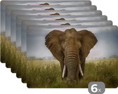 Placemat - Placemats kunststof - Olifant - Natuur - Gras - Dieren - Landschap - 45x30 cm - 6 stuks - Hittebestendig - Anti-Slip - Onderlegger - Afneembaar