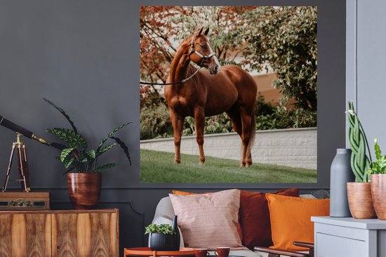 Stickers muraux - Cheval - Arbre - Licol - 120x120 cm - Feuille adhésive XXL