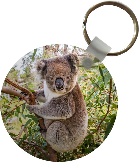 Sleutelhanger - Koala - Boom - Bladeren - Kinderen - Jongens - Meiden - Plastic - Rond - Uitdeelcadeautjes