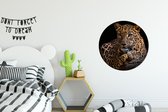 Behangcirkel - Behangsticker - Behangcirkel dieren - Luipaard - Boomstam - Dieren - Muurdecoratie - Zelfklevend behang - 80x80 cm - Cirkel behang - Behang zelfklevend