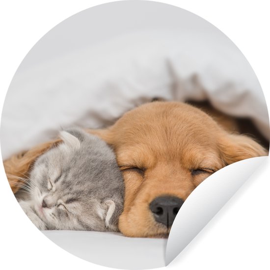 Papier peint cercle - Papier peint autocollant - Chat - Chien - Chat - Chiens - Couverture - Animaux - Papier peint autocollant - Papier peint cercle animaux - 50x50 cm - Papier peint rond