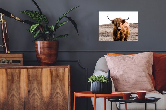Poster Highlander écossais - Paysage - Vache - Marron - Animaux - Nature - 40x30 cm