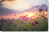 Muismat Weidebloemen - Prachtig zonlicht op roze bloemen muismat rubber - 27x18 cm - Muismat met foto
