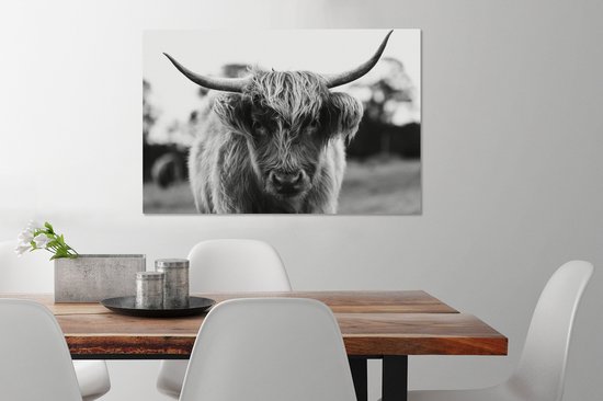 Tableau sur Toile Scottish Highlander - Vache - Herbe - Animaux - Nature - 60x40 cm - Décoration murale