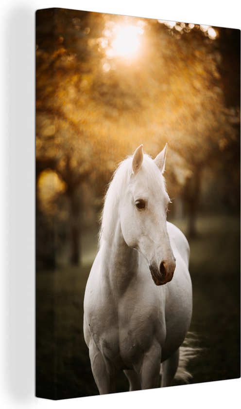 Portrait photo cheval blanc en toile d'automne 2cm 80x120 cm - Tirage photo sur toile (Décoration murale salon / chambre) / Animaux de la ferme Peintures sur toile
