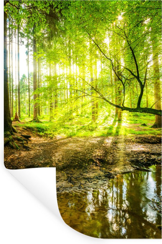 Muurstickers - Sticker Folie - Bos - Landschap - Water - Bomen - Zon - Groen - Natuur - 40x60 cm - Plakfolie - Muurstickers Kinderkamer - Zelfklevend Behang - Zelfklevend behangpapier - Stickerfolie