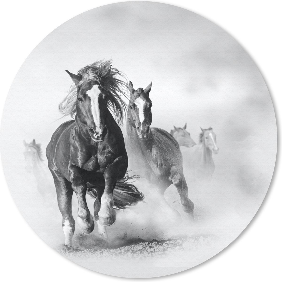 Muismat rond 40x40 cm - Mousepad Paarden - Dieren - Illustratie - Ronde muismatten
