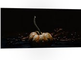 WallClassics - Panneau en mousse PVC - Citrouille avec branche - Photo 100x50 cm sur panneau en mousse PVC (avec système de suspension)