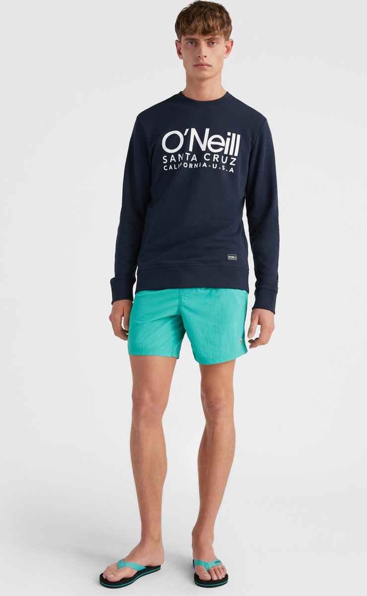 O'Neill Heren Zwembroek Vert 16" Groen — afbeelding 11