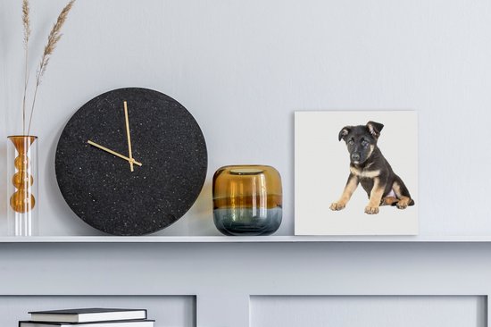 Assis sur toile de chiot berger allemand 2cm 20x20 cm - petit - Tirage photo sur toile (Décoration murale salon / chambre) / Peintures sur toile pour Animaux domestiques